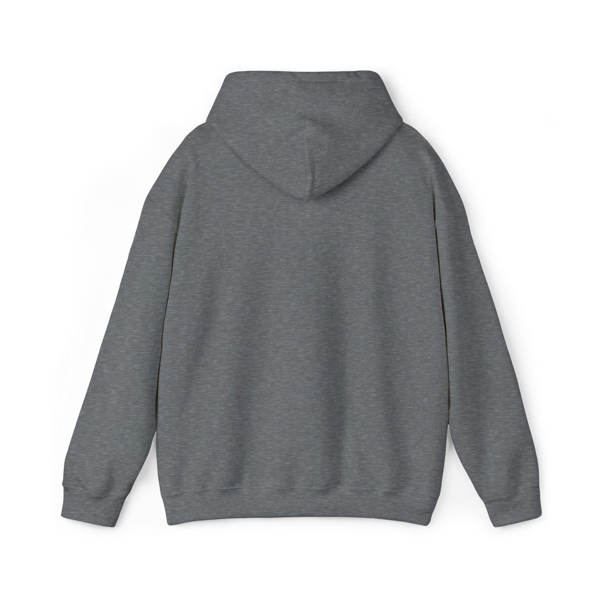 Unisex Heavy Blend™ Hooded Sweatshirt - élise & madelyn