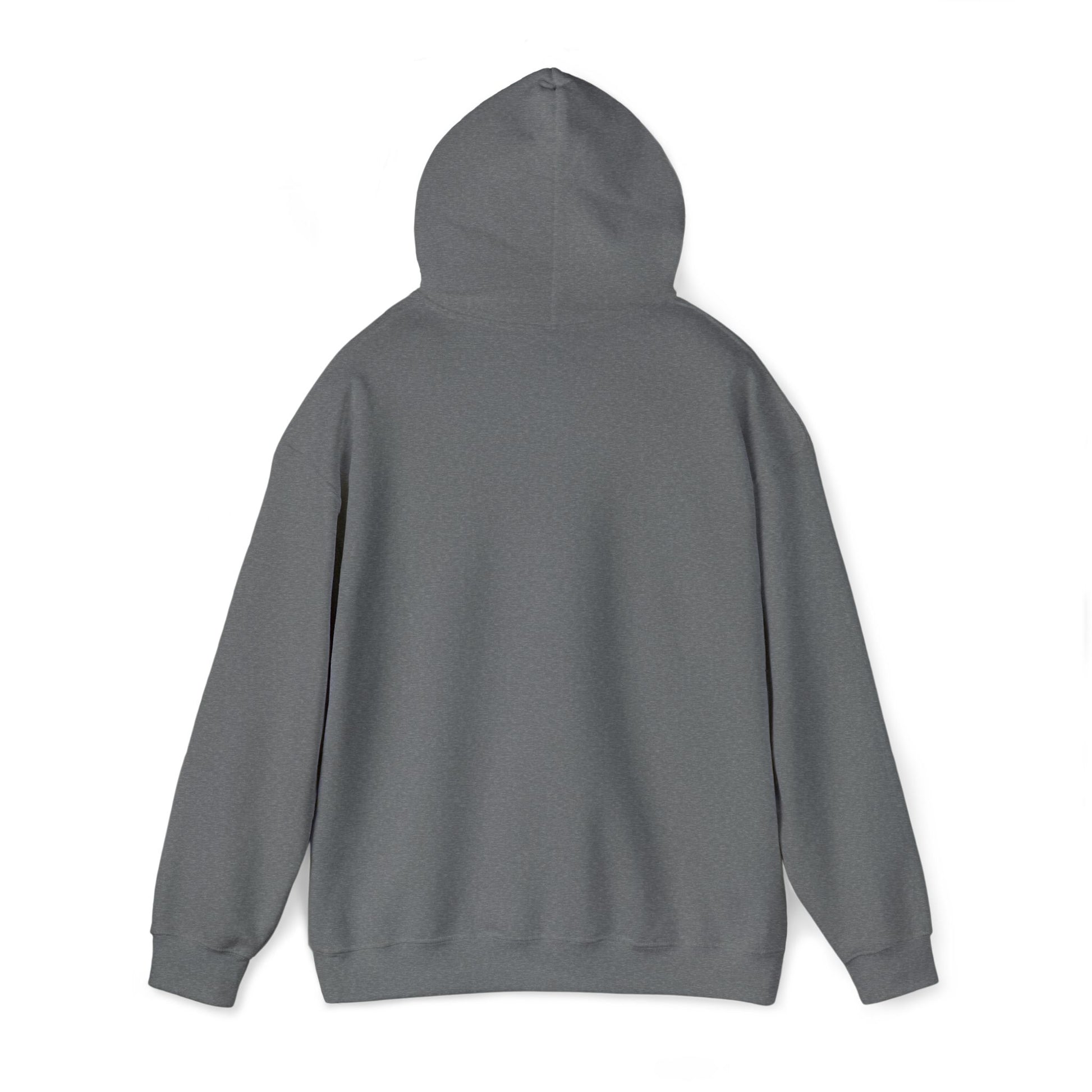 Unisex Heavy Blend™ Hooded Sweatshirt - élise & madelyn